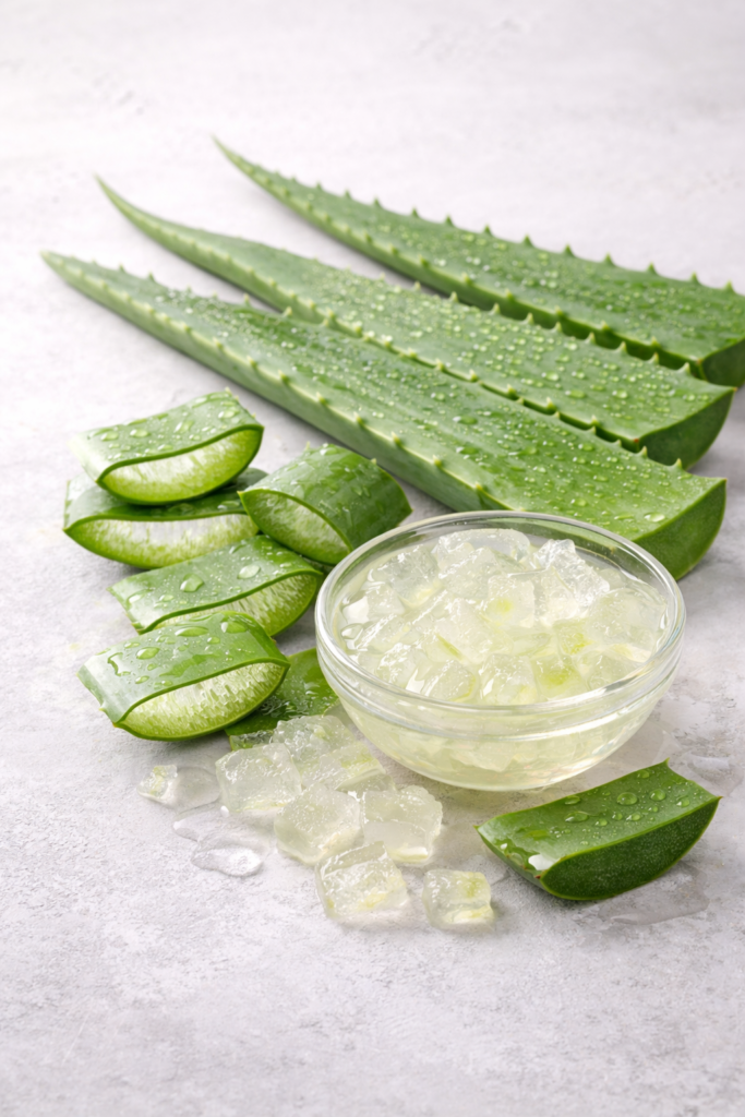 Gel de aloe vera natural con hojas frescas para tratar manchas en la piel